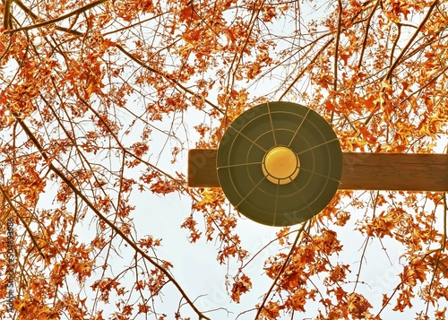 autumn
