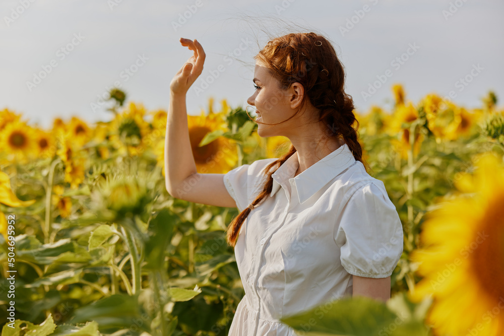 woman with pigtails looking in the sunflower field landscape woman with pigtails looking in the sunflower field landscape