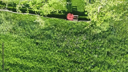 flying over a nice garden with a drone