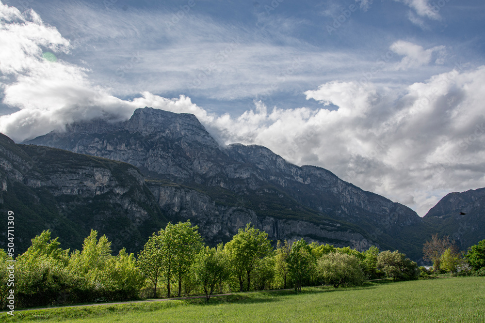landscape in the summer in Trento