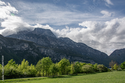 landscape in the summer in Trento