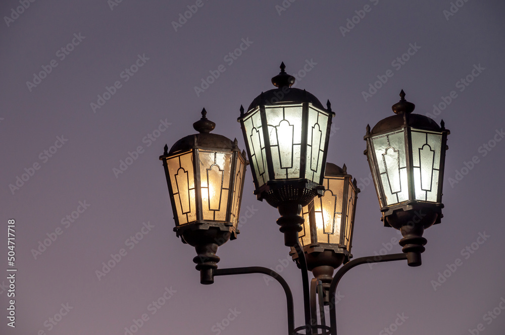 Street lights are located on the streets of the city and illuminate everything around the black night