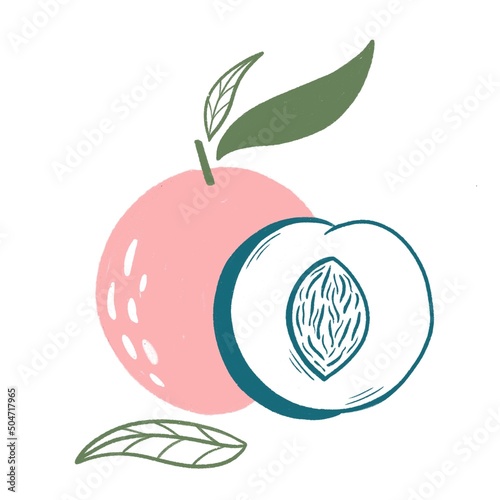 Peach style illustration for posters, decoration and print. Hand drawn etching sketch of passion fruit in colorful. Vegetarian food linocut drawing.