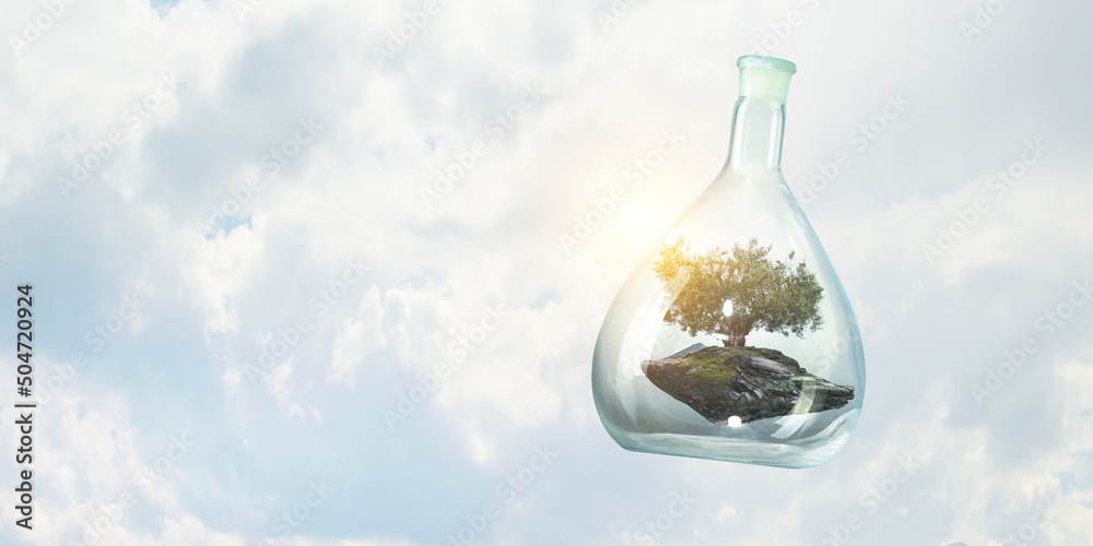 Tree growing inside clear glass bottle Tree growing inside clear glass bottle