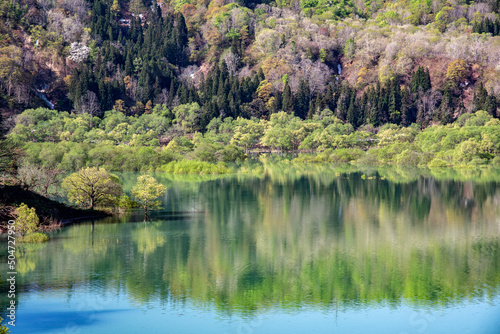湖に写る森林 © Kazcamera