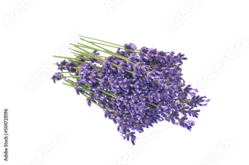 Lavender flowers isolated on white background. 