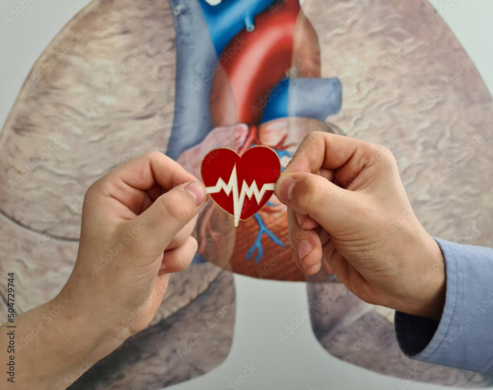 custom made wallpaper toronto digitalPediatric cardiology and diseases of cardiovascular system