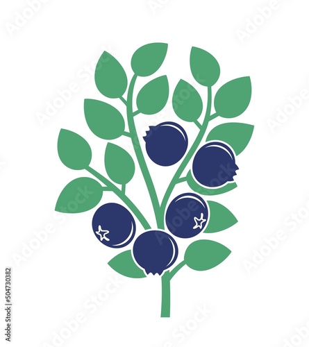 Blueberry bush logo. Isolated blueberry on white background