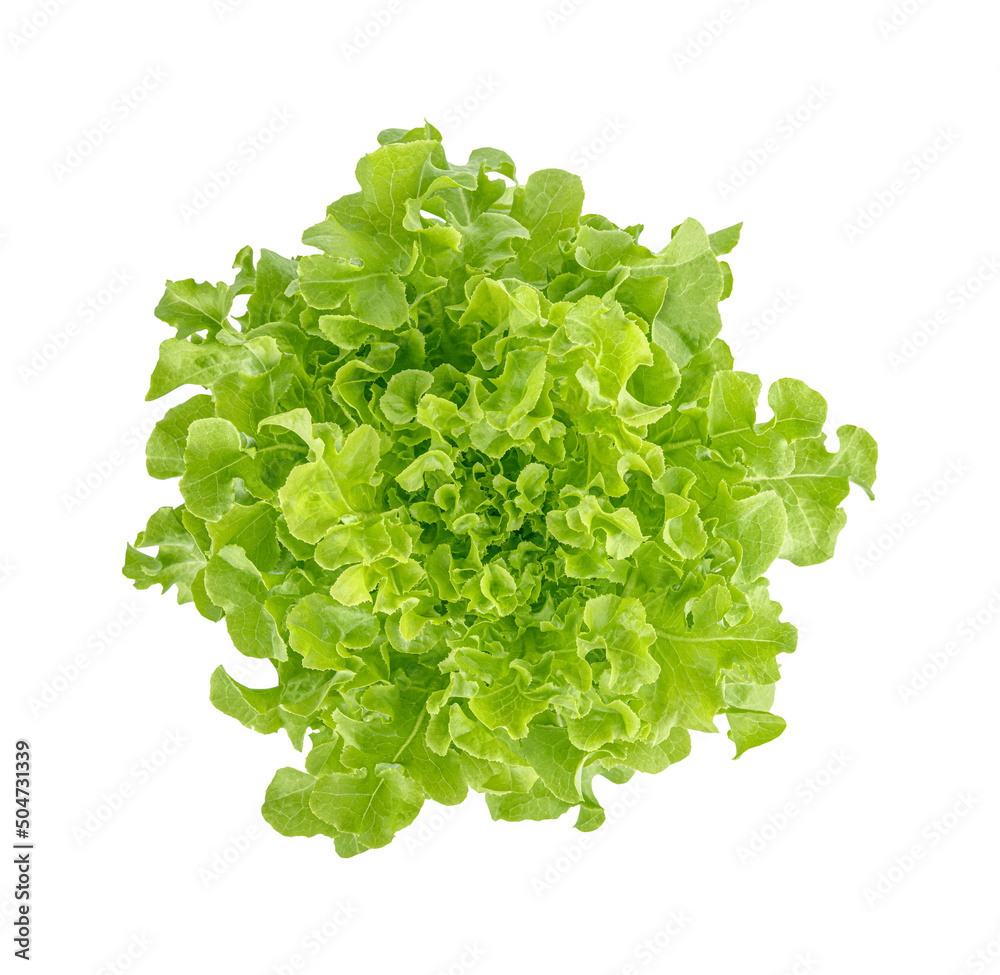 Obraz premium Fresh lettuce isolated on white background. Top view