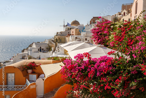 Fototapeta Naklejka Na Ścianę i Meble -  Walking in the streets of Santorini in Greece. Red Oleander Nerium flower close up.