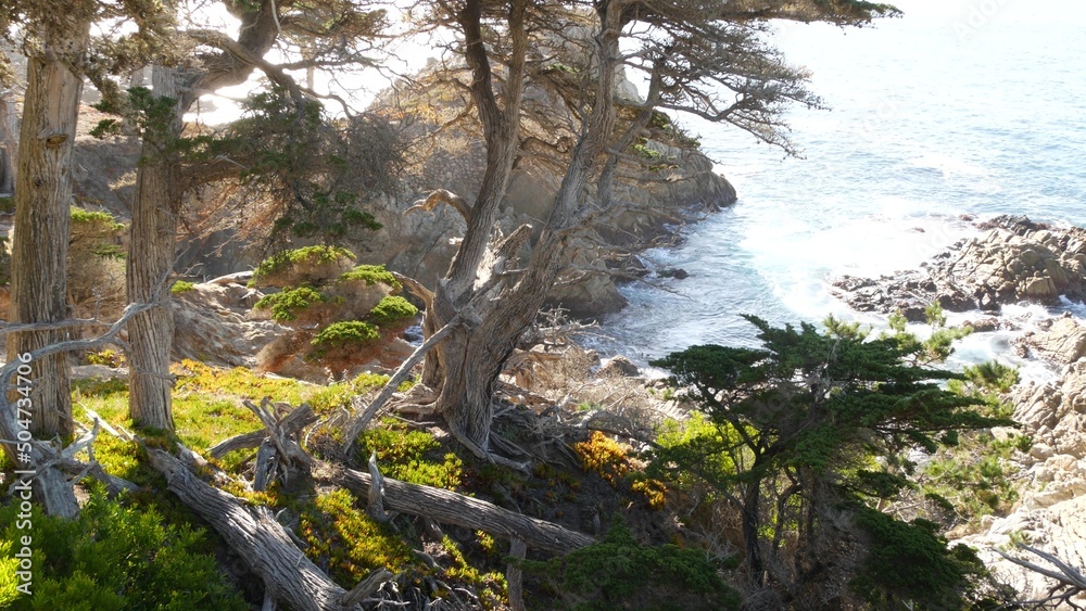 Rocky craggy ocean coast and cypress grove, blue water waves and coniferous pine tree forest, scenic 17-mile drive woods, Monterey nature near Point Lobos, Big Sur and Pebble beach, California USA. Rocky craggy ocean coast and cypress grove, blue water waves and coniferous pine tree forest, scenic 17-mile drive woods, Monterey nature near Point Lobos, Big Sur and Pebble beach, California USA.