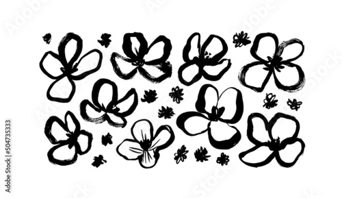 Chamomile hand drawn painted vector set. Ink drawing linear flowers  black and white botanical cliparts. Isolated floral elements. Vector brush flower silhouettes in rustic style. Black ink texture.
