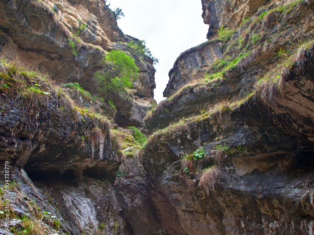 Obraz premium View of stone canyon at daylight