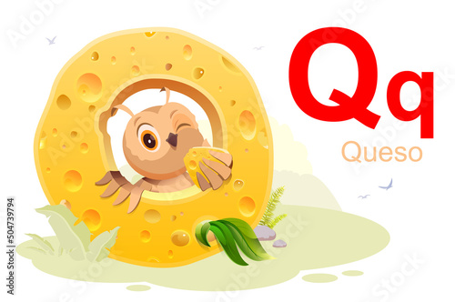 Spanish alphabet letter Q cheese translation Queso. Bird owl eating cheese photo