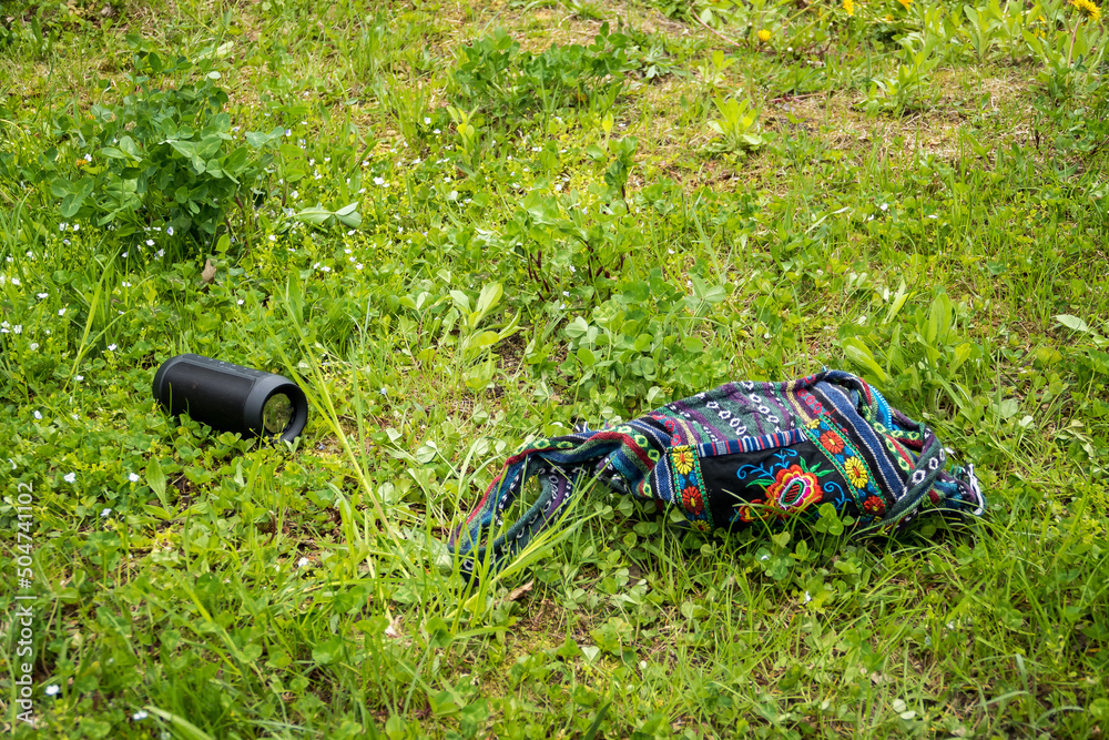 lovely bright bag with embroidered ukrainian flowers and column lie on a green lawn grass, Ukraine
