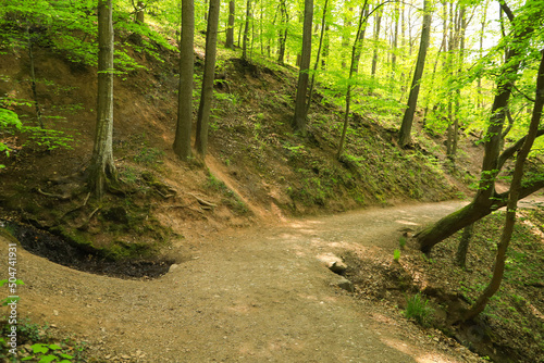 Hiking trail to Castle Eltz, Rhineland Palatinate - Germany photo