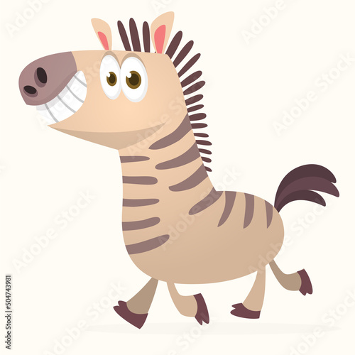 Cartoon illustration of zebra .Vector character illustration isolated © drawkman