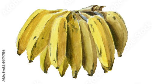 Small apple banana watercolor painting