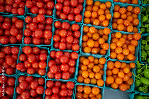 tomatoes in containers at the farmer s market