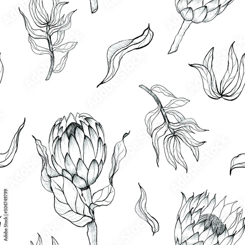 Pattern seamless with hand drawn protea flowers. Vector illustration.
