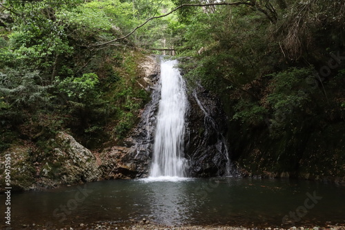 waterfall in the forest