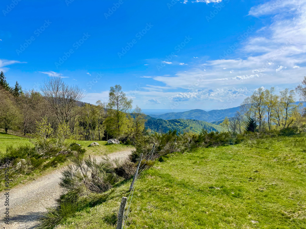 Hiking path through mountain natural landscape in bright sunlight with grass, trees and forest Hiking path through mountain natural landscape in bright sunlight with grass, trees and forest
