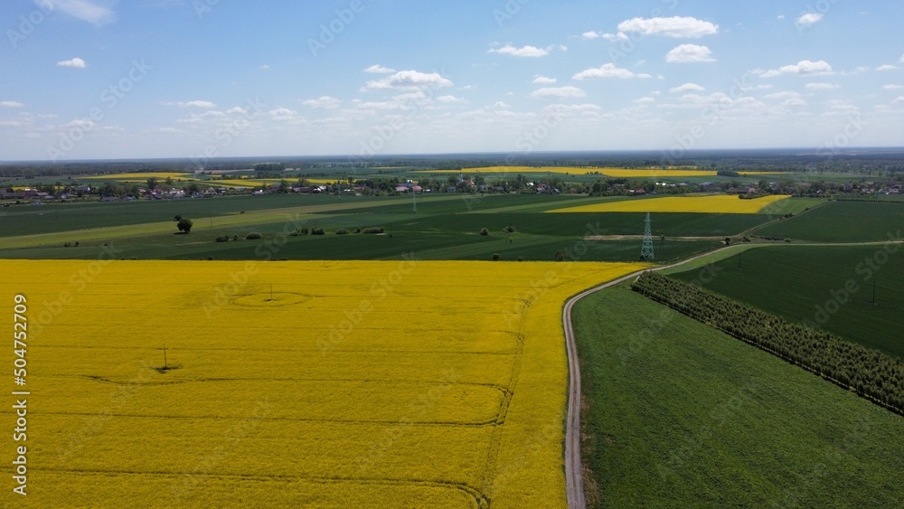 Obraz premium landscape with flowers