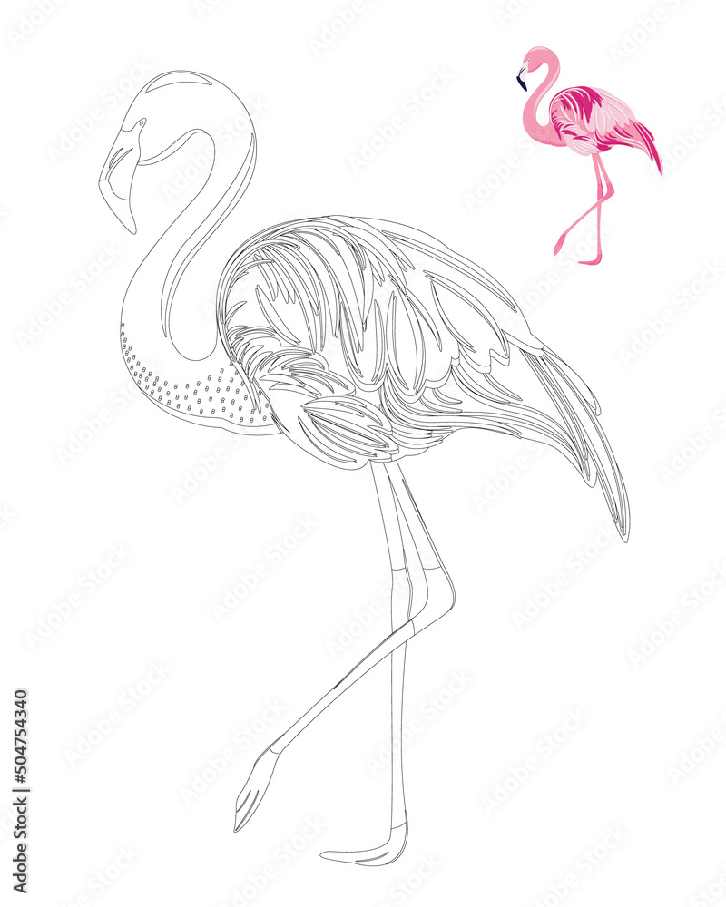 Obraz premium Flamingo coloring page. Anti stress coloring book for adults and children. With template.
