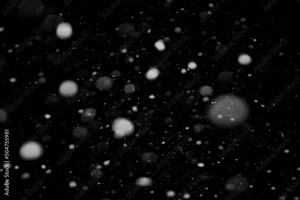 Snow background. Snow on a black background. Snowflakes for overlay. Snow background. Snow on a black background. Snowflakes for overlay.