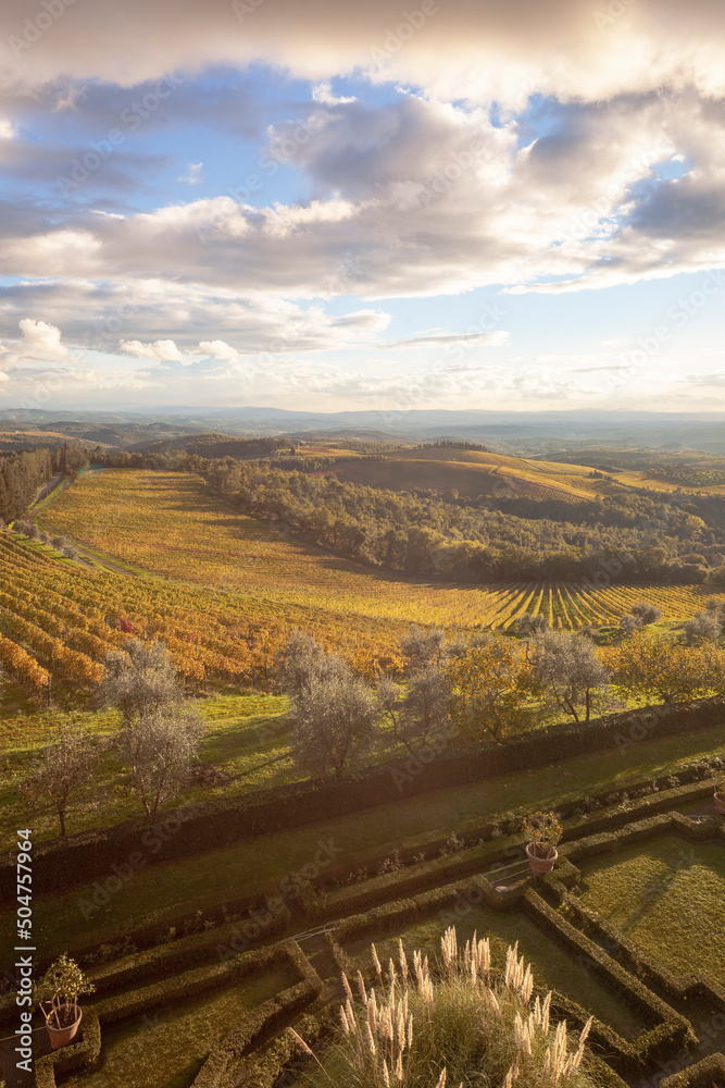 Brolio, Siena. Chianti vineyards' panorama from castle