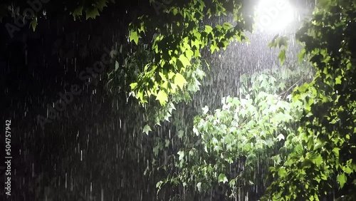 Heavy rain and thunderstorms and storms through the dark night trees and street lamps