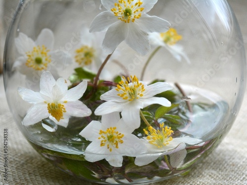 Spring flowers in a glass