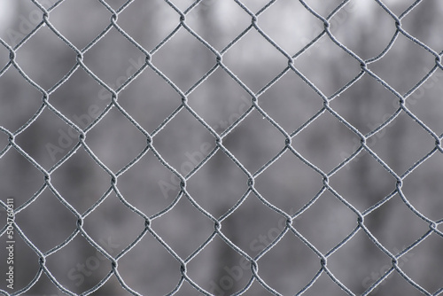 Texture of a metal mesh covered with hoarfrost, outdoors in a frosty winter, close-up.