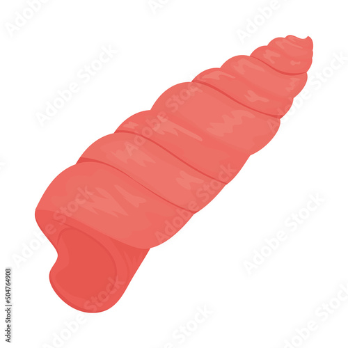 auger shell icon