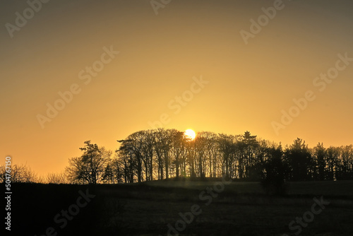sunset in the forest