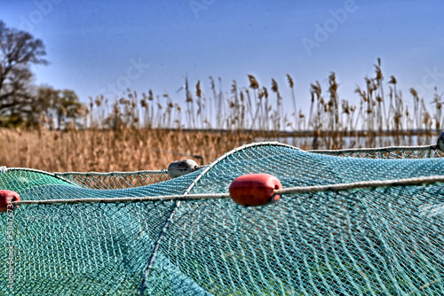 nets on the beach