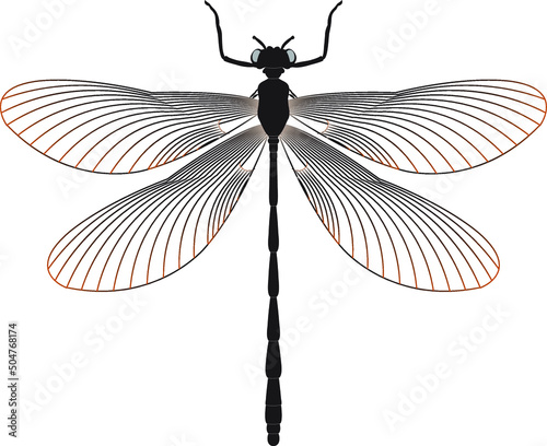 dragonfly flat isolated illustration. Vector pattern from hand-drawn insects.Trendy pop-art 80s-90s, white background. for Batik, wallpaper, wrapping paper, textile print, Logo