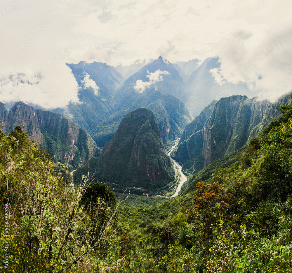 Obraz premium Jungle near Machu Picchu, Peru