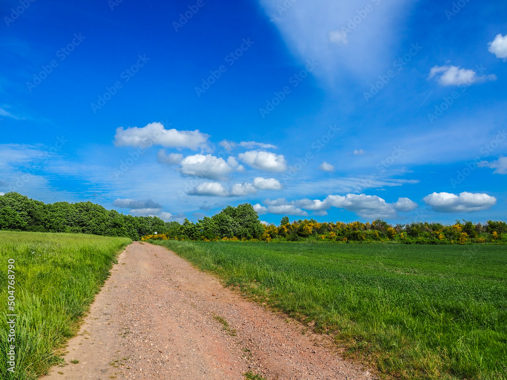 Weite Landschaft
