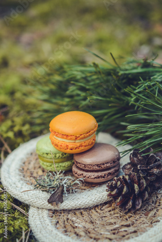 Colorful and sweet macaroon cookies, picnic in the forest