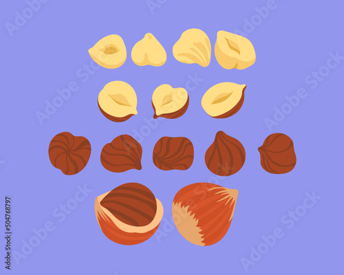 Hazelnut collection isolated food