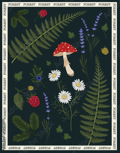 Poster with plants, berries, flowers and mushrooms