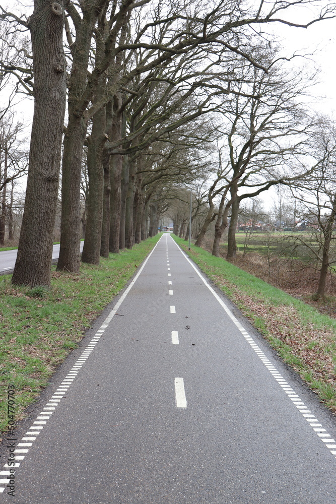 Fototapeta premium Fahrradweg entlang der Hauptstraße.