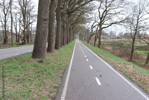 Fahrradweg entlang der Hauptstraße.