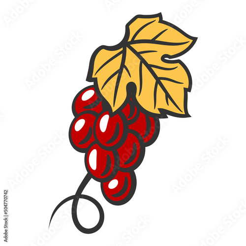 Illustration of bunch of red grapes. Winery image for restaurants and bars.