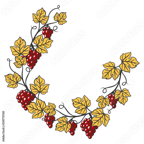 Frame of vine with leaves and bunches of grapes. Winery image for restaurants and bars.