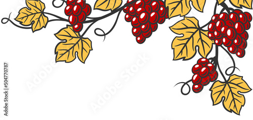 Background of vine with leaves and bunches of grapes. Winery image for restaurants and bars.