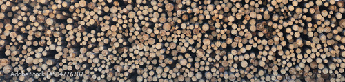 Stack of pine logs, sawn raw materials background, format photo 38 x 9