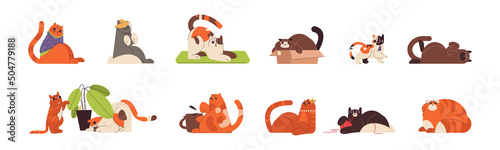 Flat cute ginger cats and kitty in different funny poses. Playful happy domestic feline animals doing yoga, playing with ball, hiding in box and liying. Fat lazy fluffy pets sitting in sweater and hat