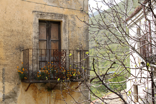 Balcony with wild flowers of an old abandoned mountain house